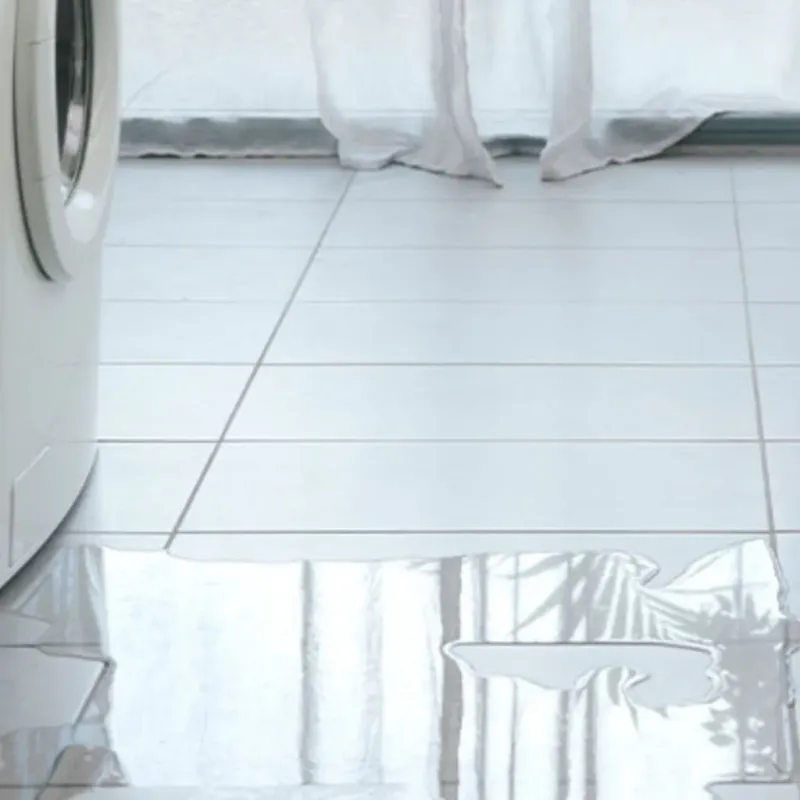 Appliance Leak Cleanup in Orangetree, FL