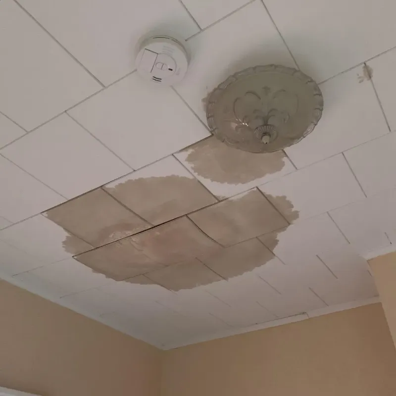 Ceiling Water Damage Repair in Orangetree, FL